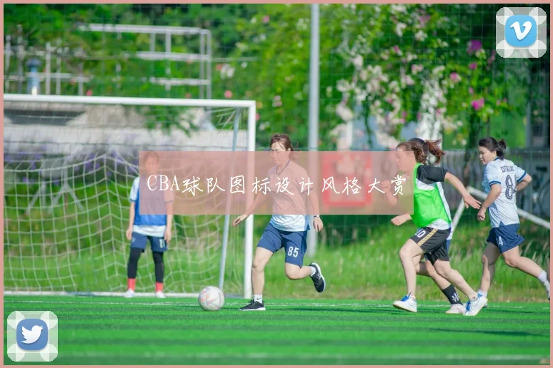 CBA球队图标设计风格大赏