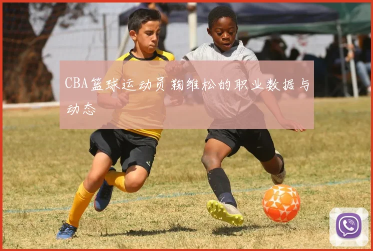 CBA篮球运动员鞠维松的职业数据与动态