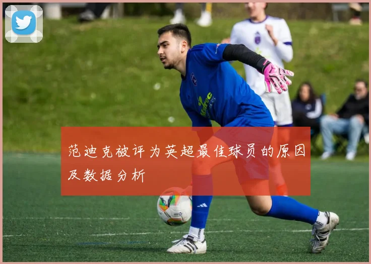 范迪克被评为英超最佳球员的原因及数据分析