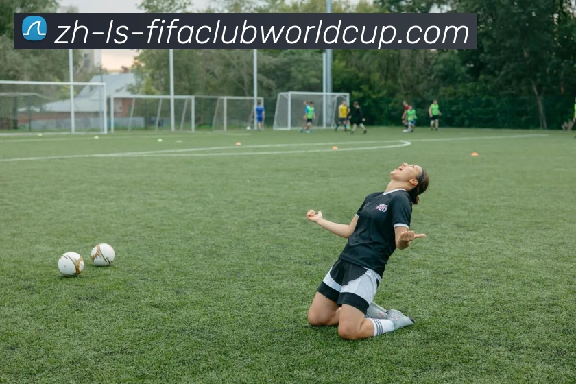 世界杯赛程平台生态图